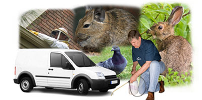 Rickmansworth local van